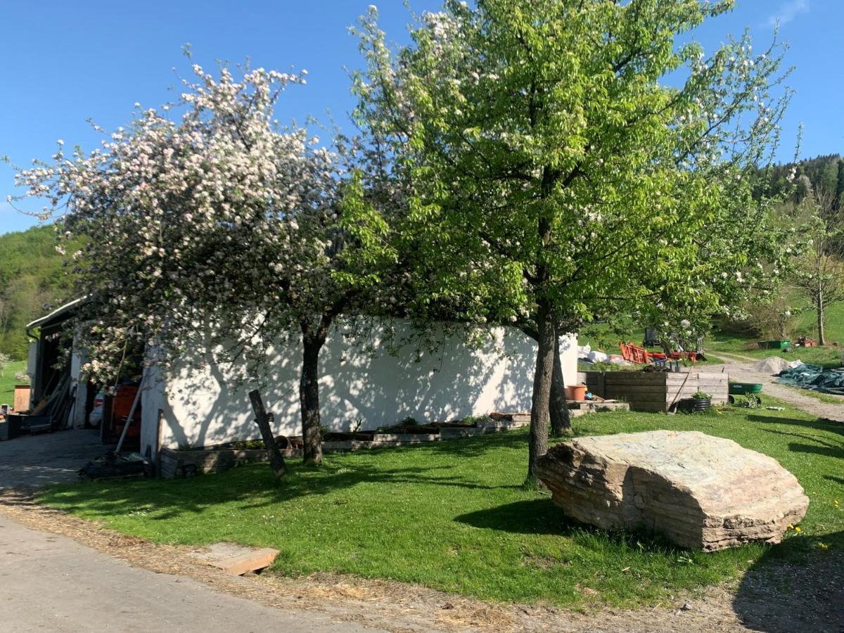 Ferienwohnung Waldkoehlerei Michelbach Buitenkant foto