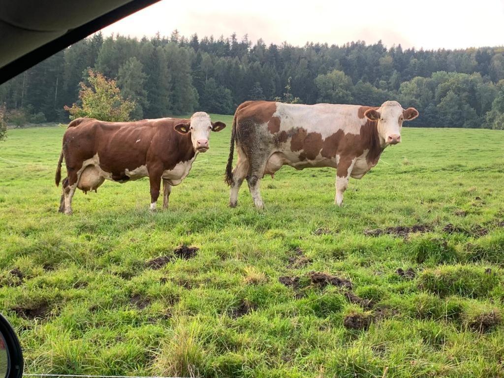 Ferienwohnung Waldkoehlerei Michelbach Buitenkant foto